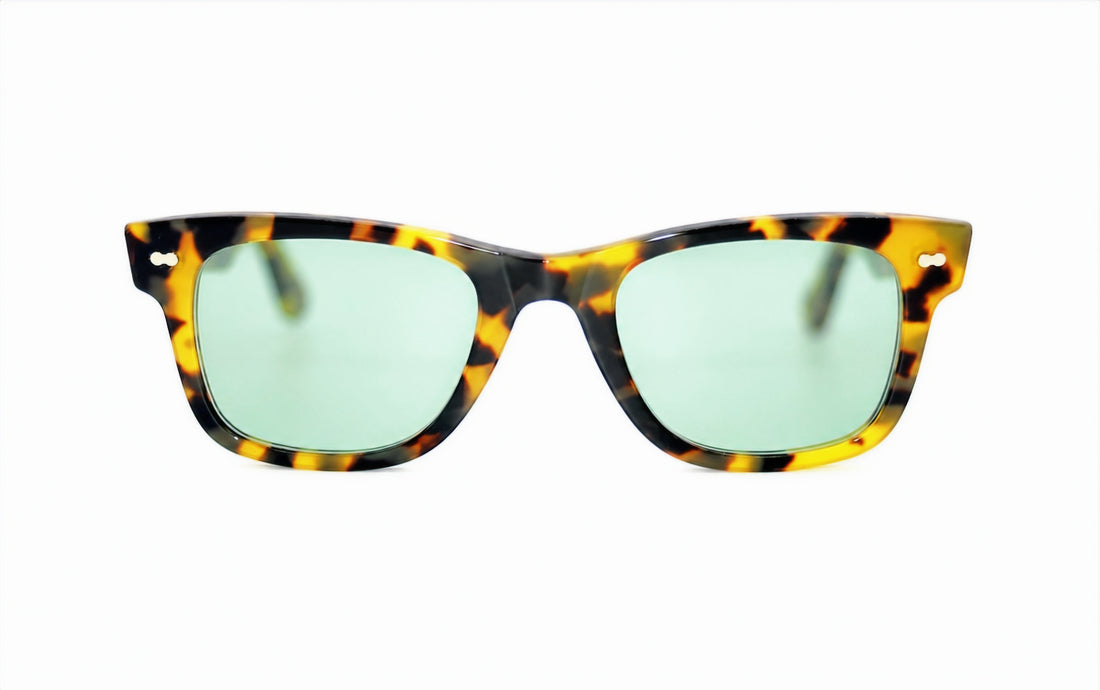 Wall Street Boho Turtle
